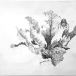 Malin drömmer- blyerts på papper, 50x70 cm